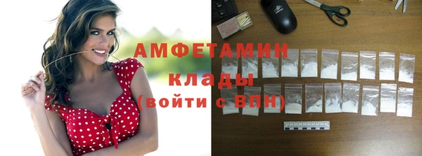 прущие грибы Кодинск