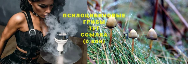 эйфоретик Балахна