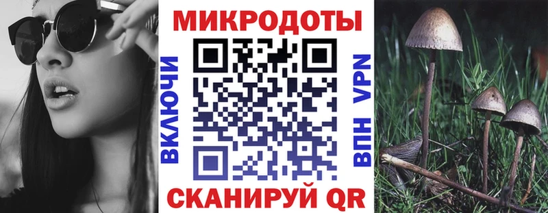 Галлюциногенные грибы MAGIC MUSHROOMS  Новый Оскол 